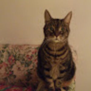 Meet your Posher, Ajay